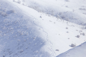 Snow