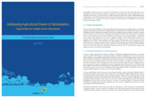 AG drivers of deforestation CF