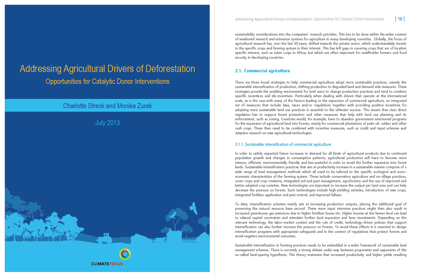 AG drivers of deforestation CF