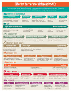Different barriers for different MSMEs