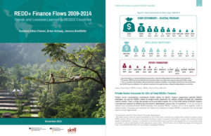 REDDX Report 2015