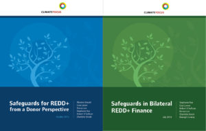 Safeguards Papers Cover Designs