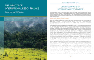 The impacts of international REDD finance