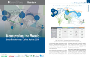 Voluntary Carbon Markets 2013