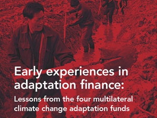Early Experiences in Adaptation Finance