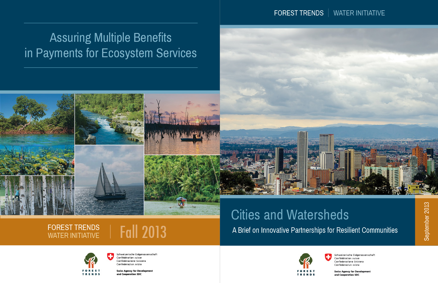 Water Initiative Cover Designs