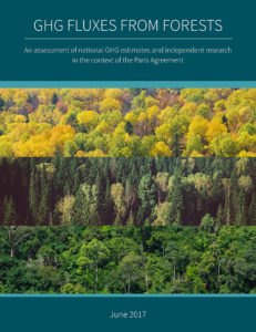 GHG Fluxes from Forests