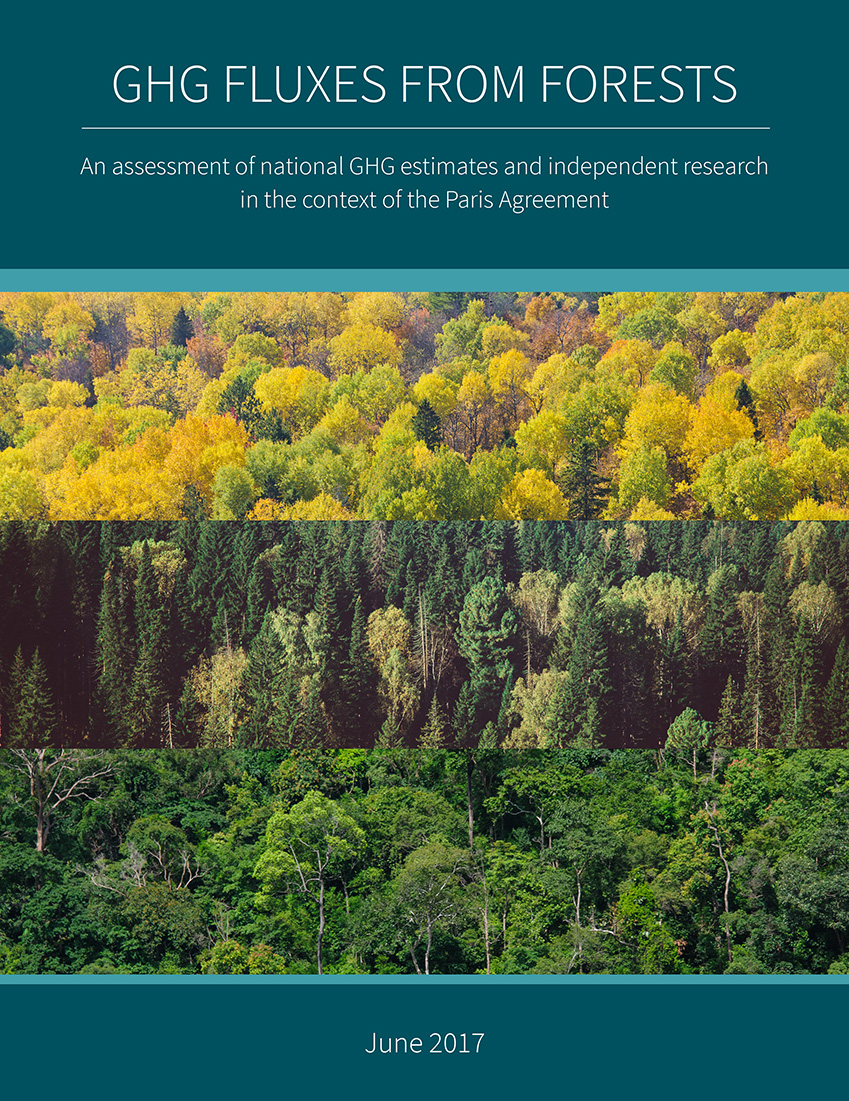 GHG Fluxes from Forests