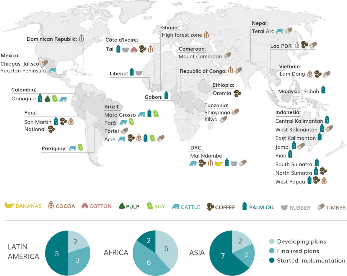 Progress on the New York Declaration on Forests: Goals 8 and 9 Assesment Report