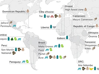 Commodities Map