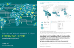 Progress on the New York Declaration on Forests: Goals 8 and 9 Assesment Report