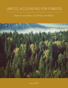 UNFCCC Accounting for Forests