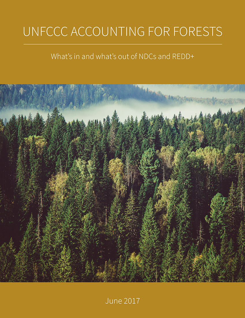 UNFCCC Accounting for Forests