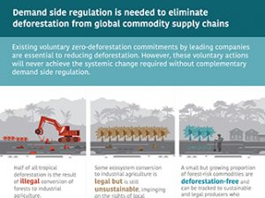 Demand-side Regulation and Forest Risk Commodities