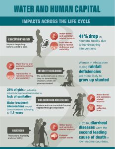 Water and Human Capital Infographic