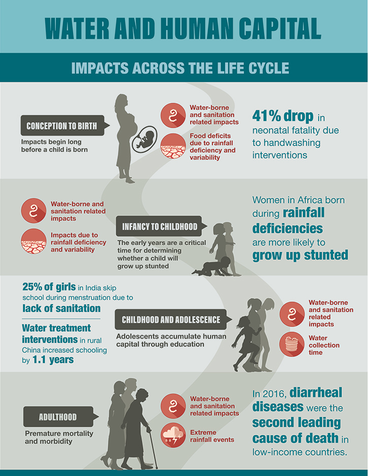 Water and Human Capital Infographic