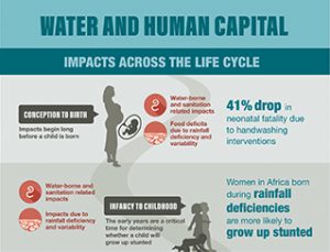 Water and Human Capital Infographic