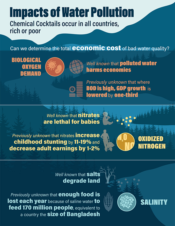 Impacts of Water Pollution Infographic
